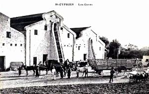 Saint-Cyprien-les-Attafs - Miliana - Caves